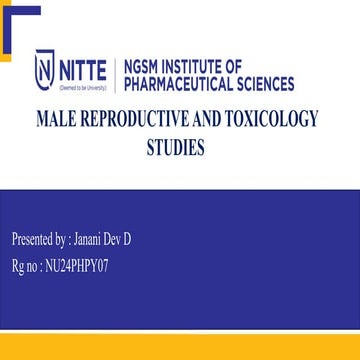 Male repro toxicity studies in screening.pptx