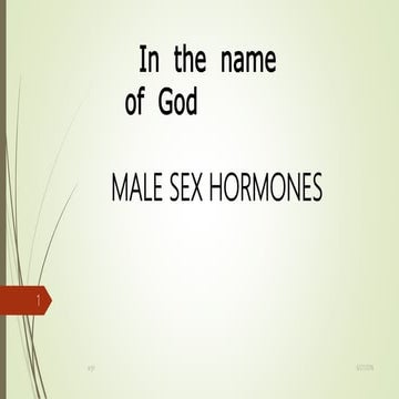Male sex hormones