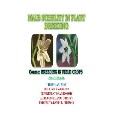 Male sterility in plant breeding 