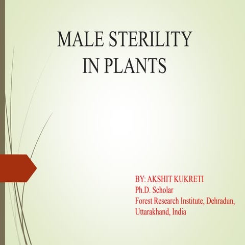 Male sterility in plants