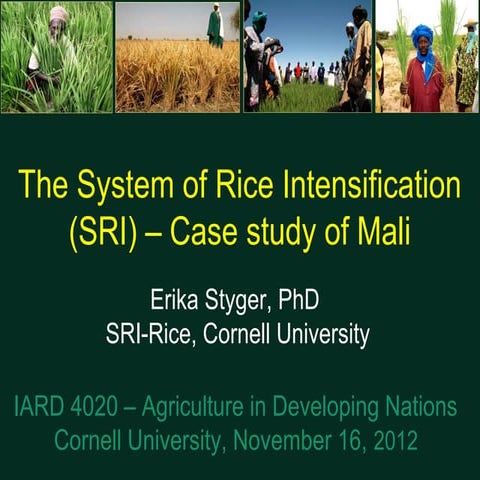 12106 Mali _ Styger SRI presentation for Cornell class  IARD4020