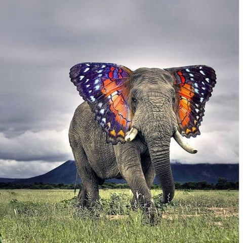 Malina lafayette 2019 colloquium