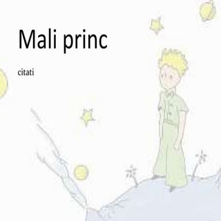 Mali princ - citati