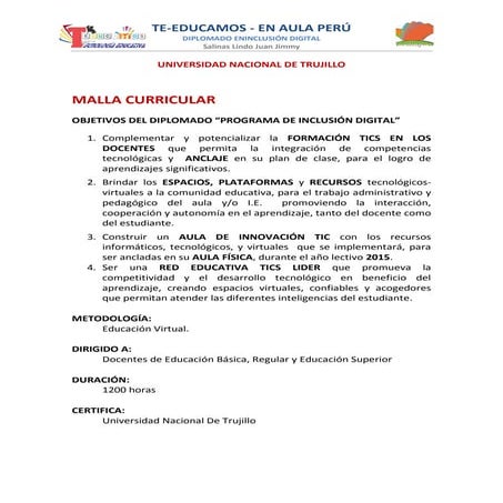 Malla curricular-del-programa-de-inclusión-digital (1)