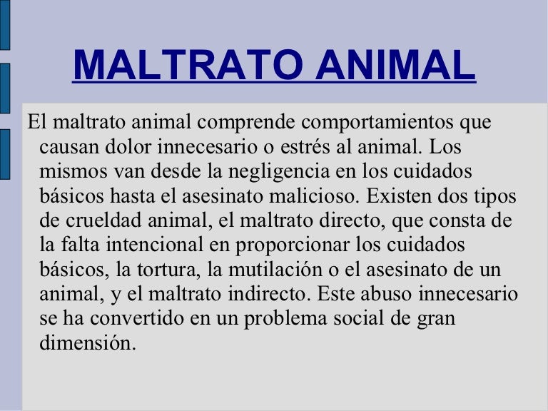 Maltrato animal