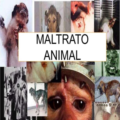 Maltrato animal