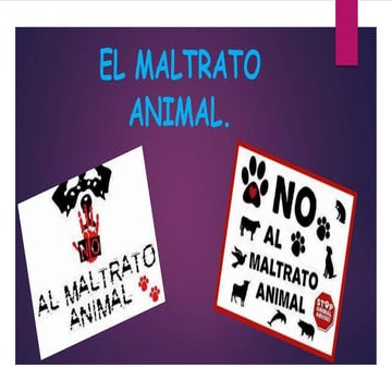 Maltrato animal tatianauguina 4b