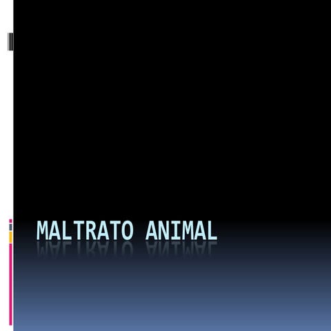 Maltrato animal 2
