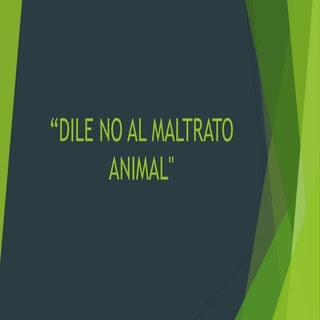 Maltrato animal en power point