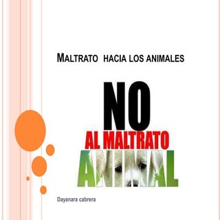 Maltrato  hacia los animales diapos...