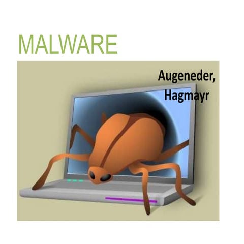 Malware Augeneder Hagmayr