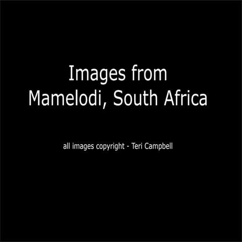 Mamelodi | PDF