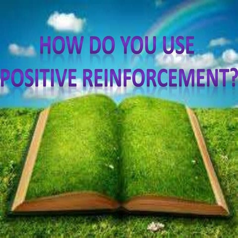 How To Use Positive Reinforcement