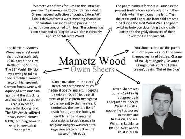 Mametz Wood Annotation Mametz Wood Annotation