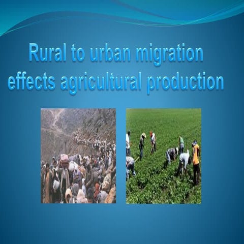 migration effects agricultural production