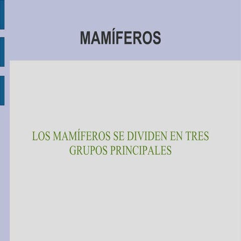 Mamíferos