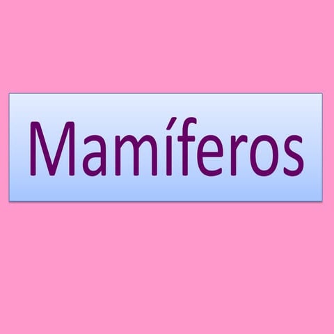 Mamíferos