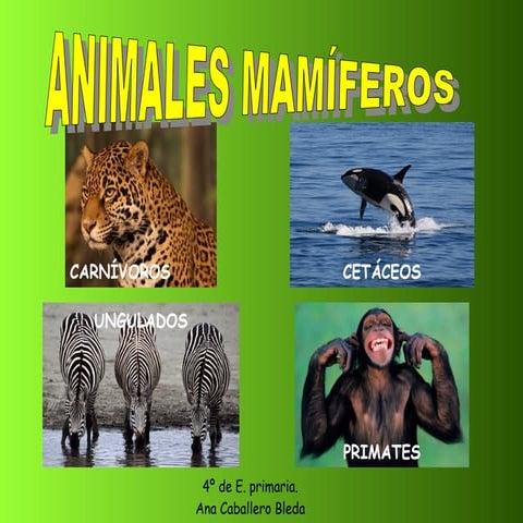 Mamíferos