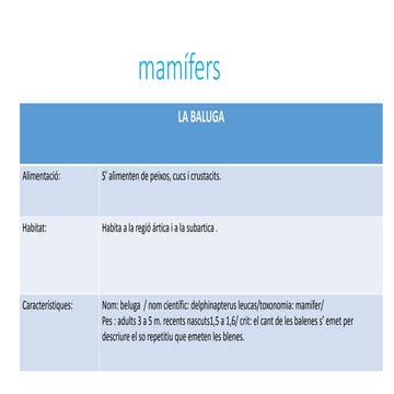 Mamífers
