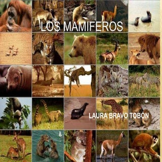 Mamiferos