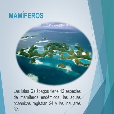 Mamiferos