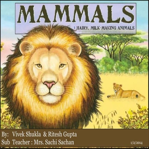 Mammals