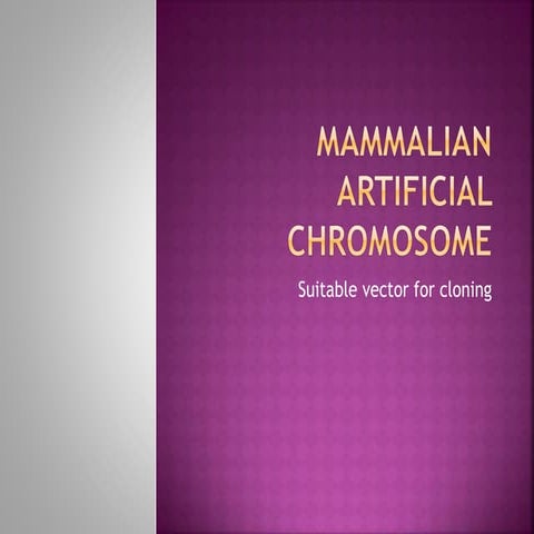 Mammalian artificial chromosome