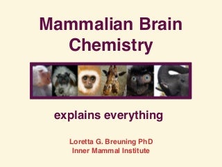 Mammalian Brain Chemistry Explains Everything