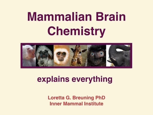 Mammalian Brain Chemistry Explains ...
