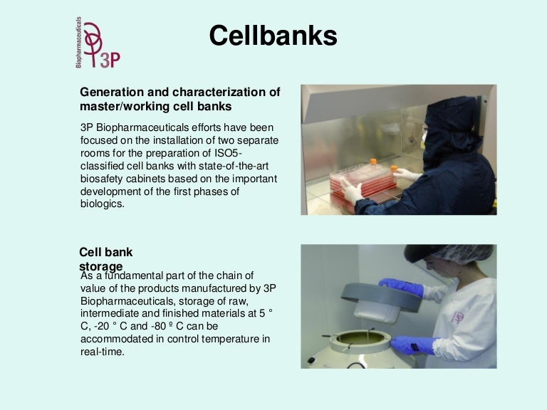 Mammalian Cell Culture