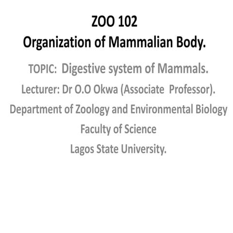 Mammalian Digestive system-1.pptx