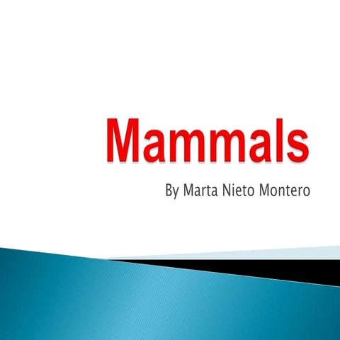 Mammals