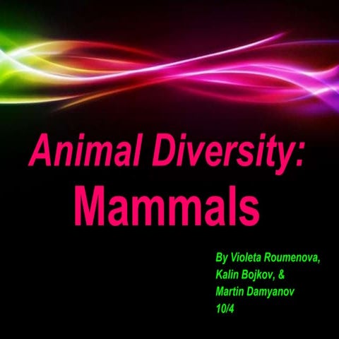 Mammals 10 4-roumenova_bojkov_damyanov