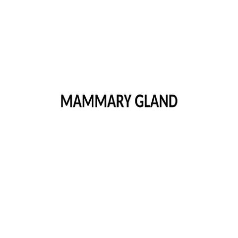 Mammary glands anatomy of mammary glands