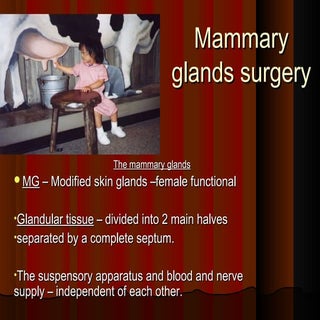 Mammary glands power point by Dr. R...