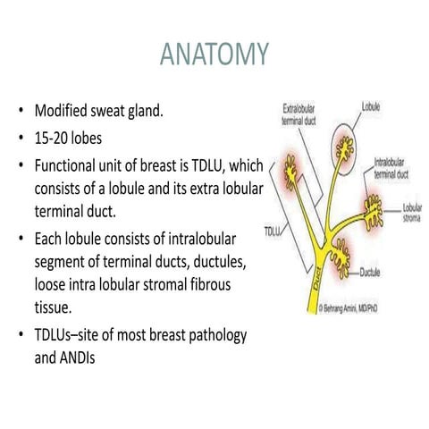Breast mammography and tomosynthesis