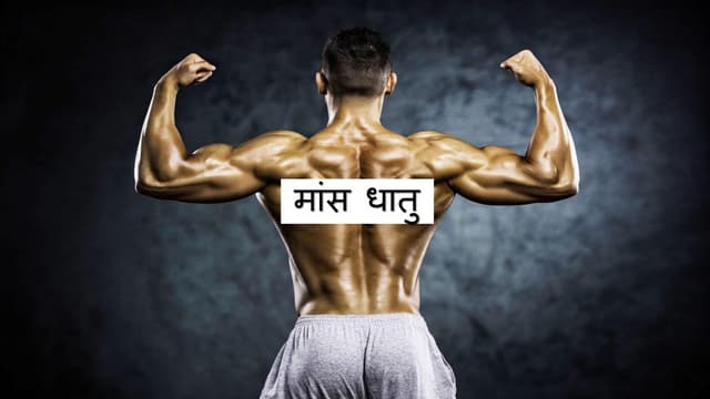 Ayurvedic aspect -mamsa dhatu with modern corelation