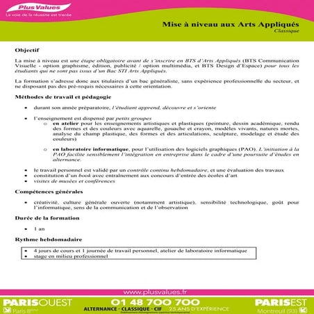 Ecole Plus Values - BTS communication Visuel (BTS CV) | PDF