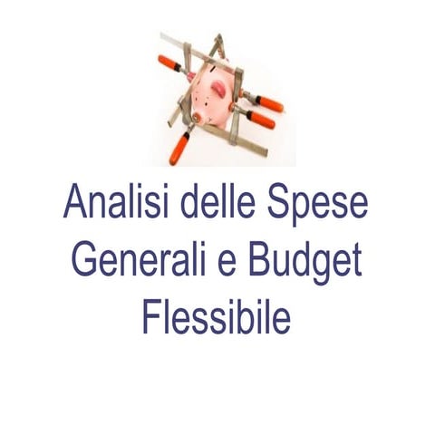 3. Analisi delle Spese Generali e Budget Flessibile
