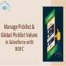 Manage Picklist & Global Picklist Value in Salesforce with BOFC