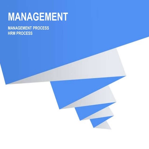 MANAGEMENT PROCESS HRM PROCESS