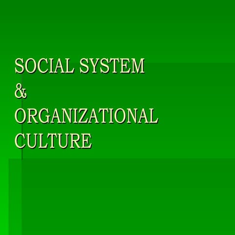 Management 103 report