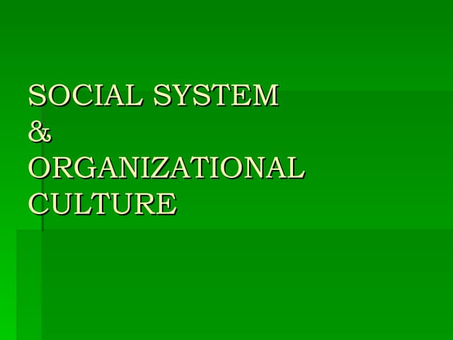 Management 103 report
