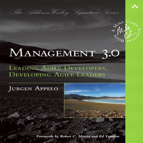 Management 3.0.pdf