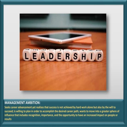 Competency Snapshot: Management Ambition