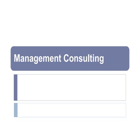 Management Consulting