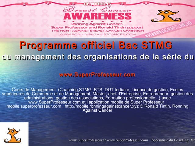 Cours de Management : Bac STMG  201...