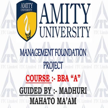 Management foundation, ITC Company Organizational Structure ,AMITY UNIVERSITY...