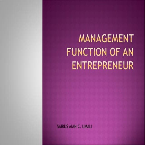 Management function of an entrepreneur