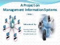 information systems management information systems management